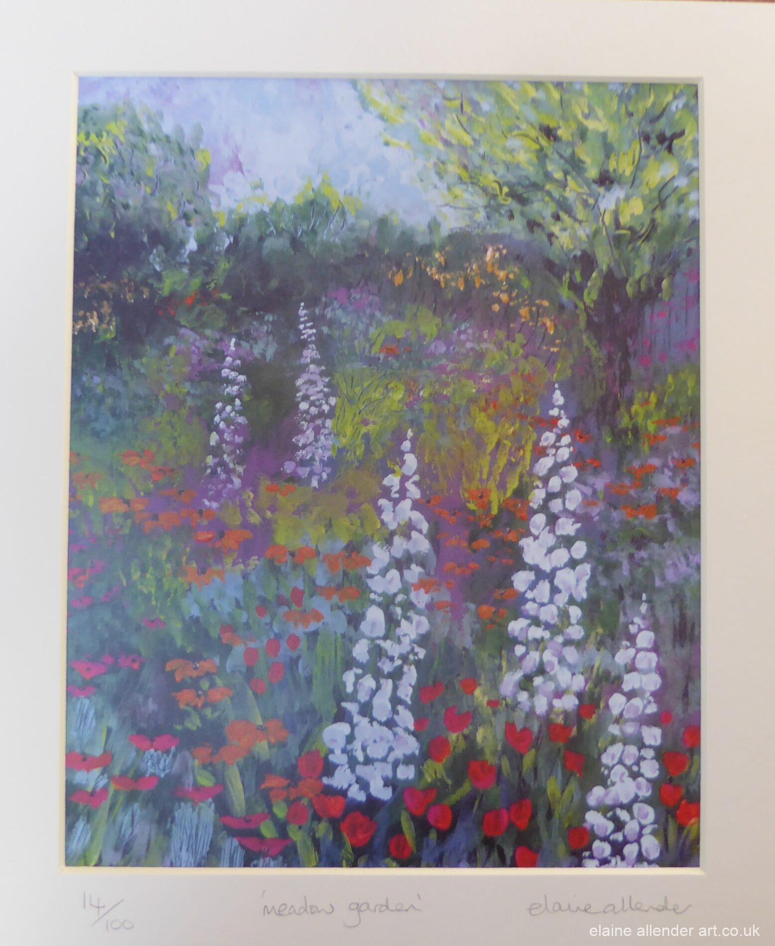 Meadow Garden